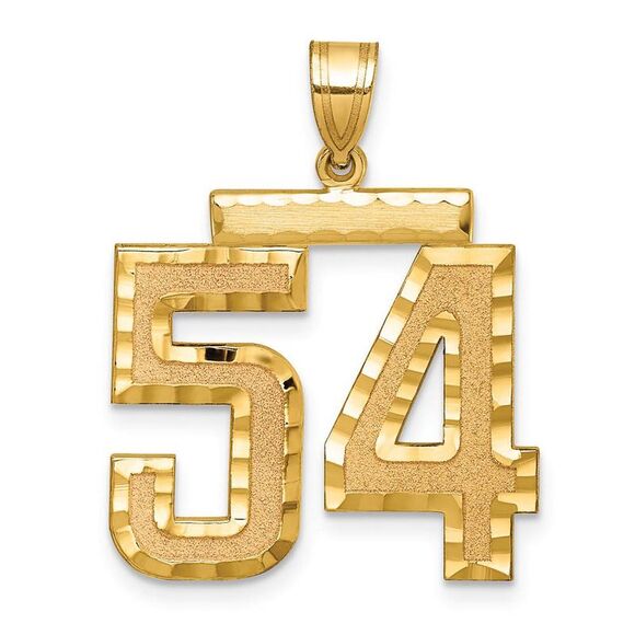 14k Yellow Gold Varsity Collection Large D/C Pendant Number 54